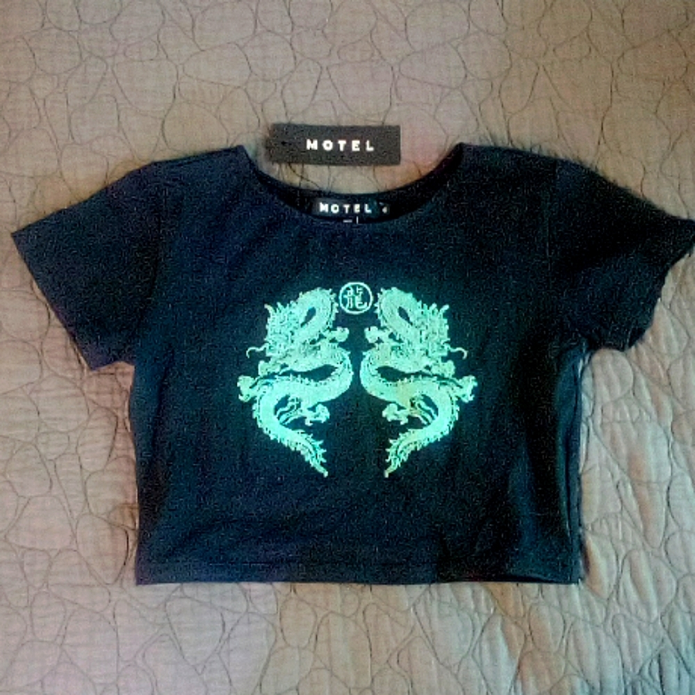 Tiny Top Dragon Flower Crop Top